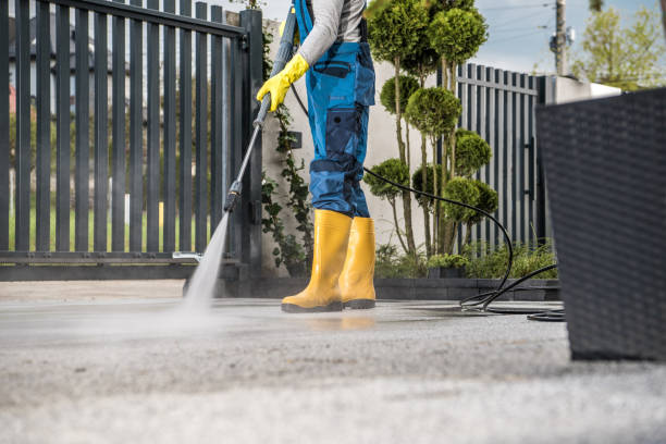 Best Driveway Pressure Washing  in Brock Hall, MD